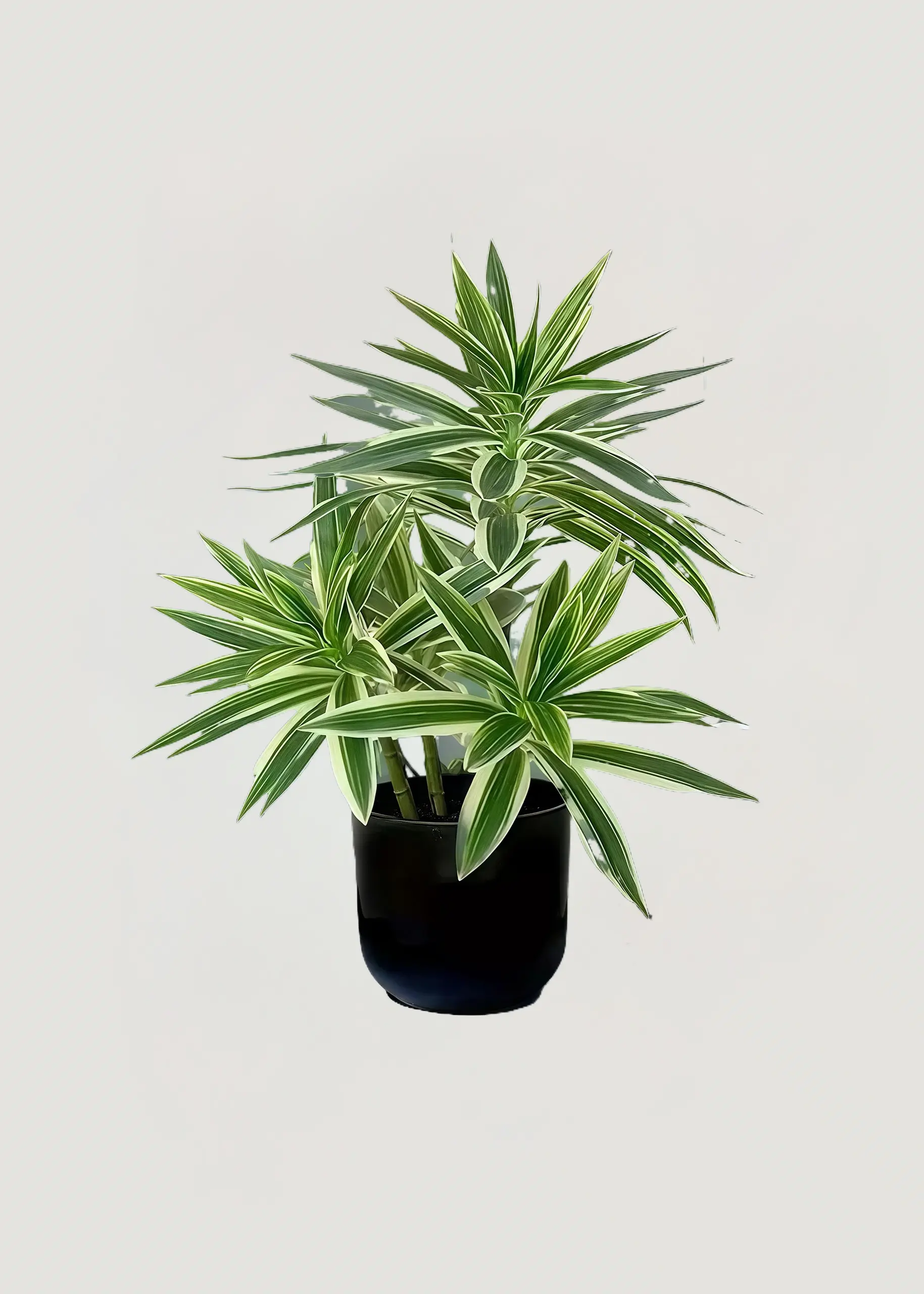 Artificial Peony